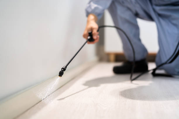 Licensed Termite Control service in Uintah County County, UT - Nex Pest Control